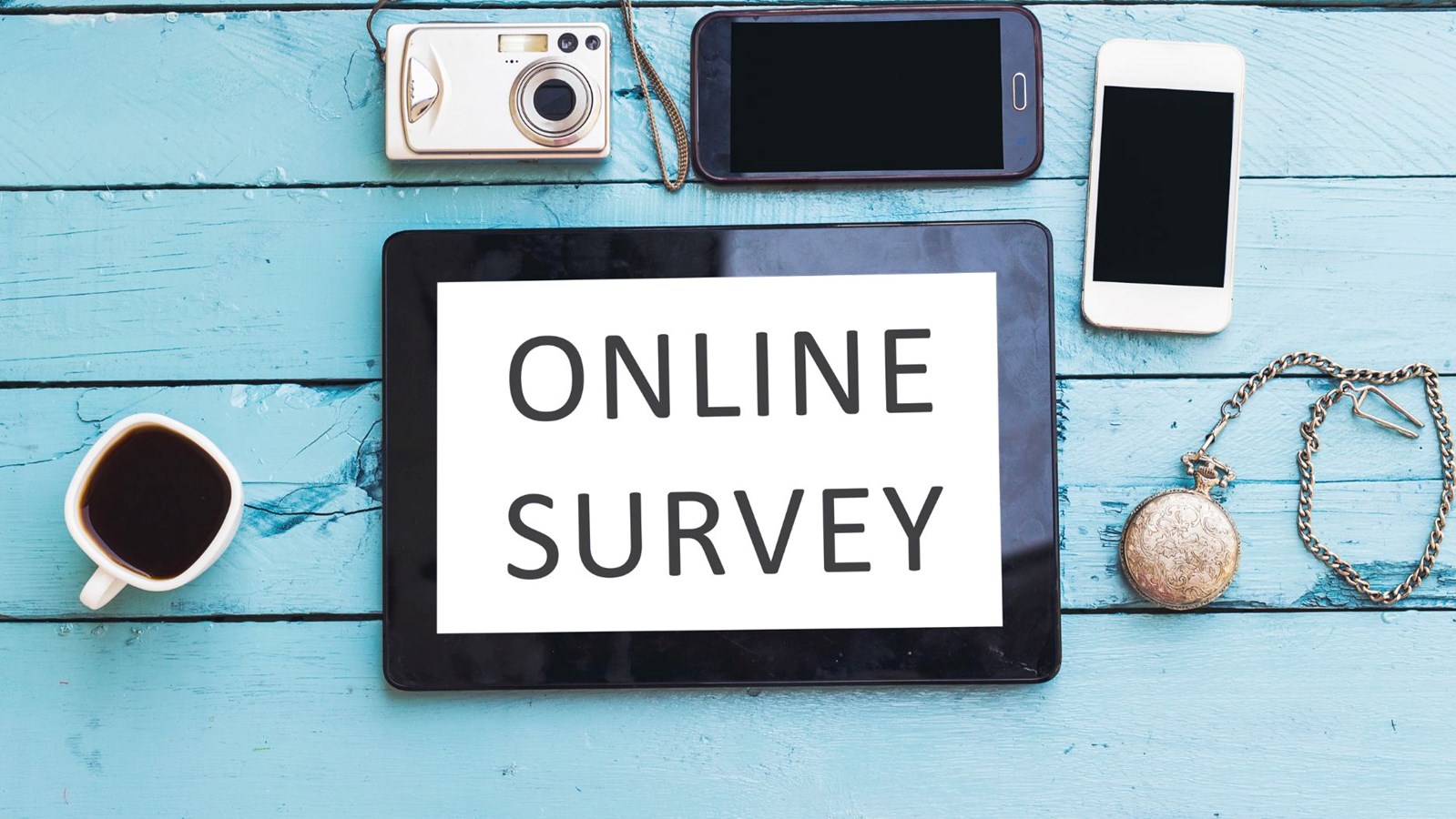 Online Survey